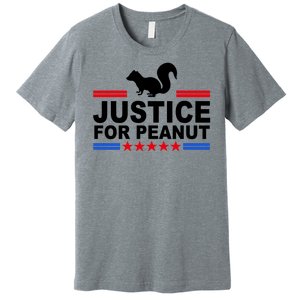 Justice For Peanut The Squirrel 2024 Premium T-Shirt