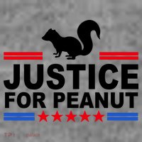 Justice For Peanut The Squirrel 2024 Tank Top