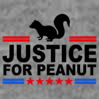 Justice For Peanut The Squirrel 2024 Toddler T-Shirt