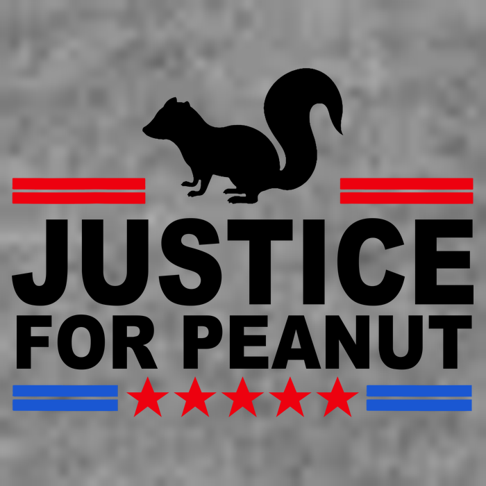 Justice For Peanut The Squirrel 2024 Toddler T-Shirt