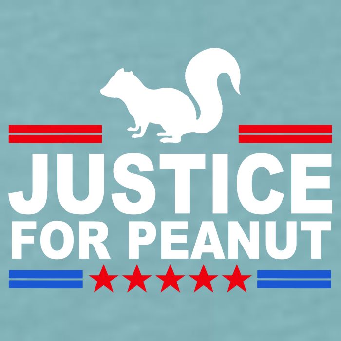 Justice For Peanut The Squirrel 2024 Sueded Cloud Jersey T-Shirt