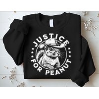 Justice For Peanut The Squirrel P’Nut Pnut Peanut Squirrel Sweatshirt