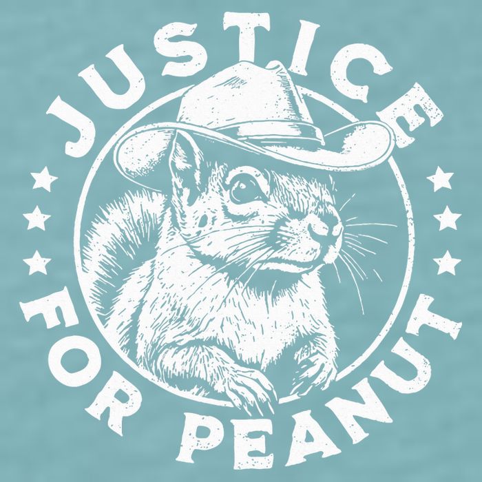 Justice For Peanut The Squirrel P’Nut Pnut Peanut Squirrel Sueded Cloud Jersey T-Shirt