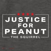 Justice For Peanut Vector Backpack