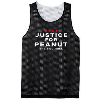 Justice For Peanut The Squirrel Peanut Squirrel Mesh Reversible Basketball Jersey Tank