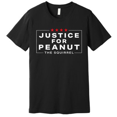 Justice For Peanut The Squirrel Peanut Squirrel Premium T-Shirt