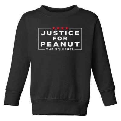 Justice For Peanut The Squirrel Peanut Squirrel Toddler Sweatshirt