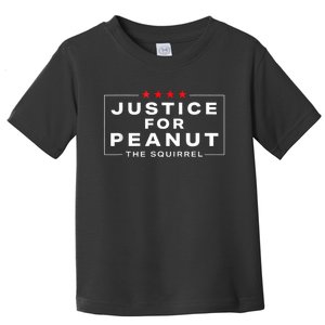 Justice For Peanut The Squirrel Peanut Squirrel Toddler T-Shirt