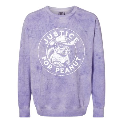 Justice For Peanut The Squirrel P’Nut Pnut Peanut Squirrel Gift Colorblast Crewneck Sweatshirt