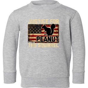 Justice For Peanut The Squirrel Peanut Squirrel Toddler Sweatshirt