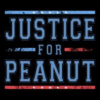 Justice For Peanut The Squirrel Usa Flag Drawstring Bag