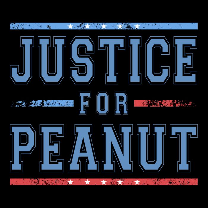 Justice For Peanut The Squirrel Usa Flag Drawstring Bag
