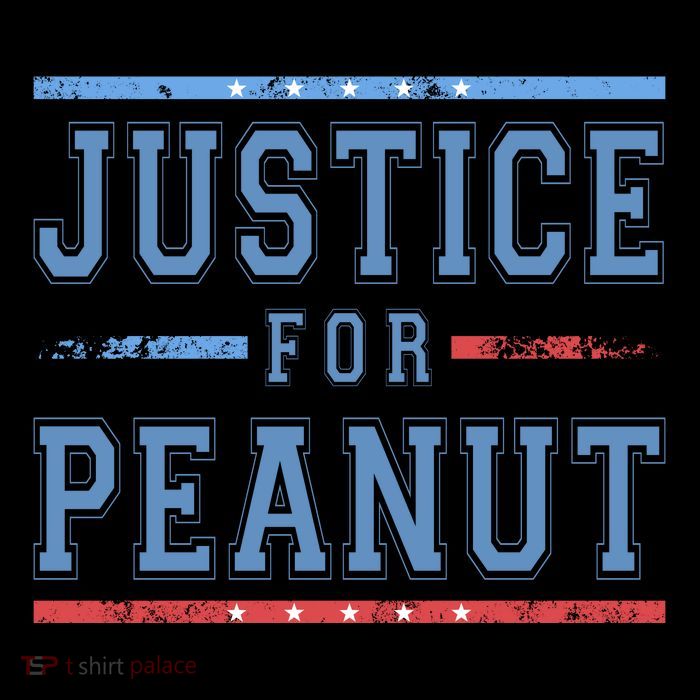 Justice For Peanut The Squirrel Usa Flag 16 in Basic Backpack