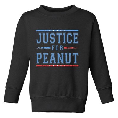 Justice For Peanut The Squirrel Usa Flag Toddler Sweatshirt