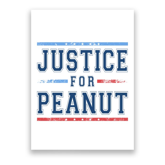 Justice For Peanut The Squirrel Usa Flag Poster