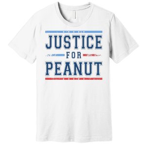 Justice For Peanut The Squirrel Usa Flag Premium T-Shirt