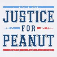 Justice For Peanut The Squirrel Usa Flag Toddler T-Shirt