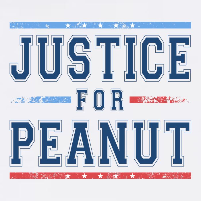 Justice For Peanut The Squirrel Usa Flag Toddler T-Shirt