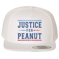 Justice For Peanut The Squirrel Usa Flag Wool Snapback Cap