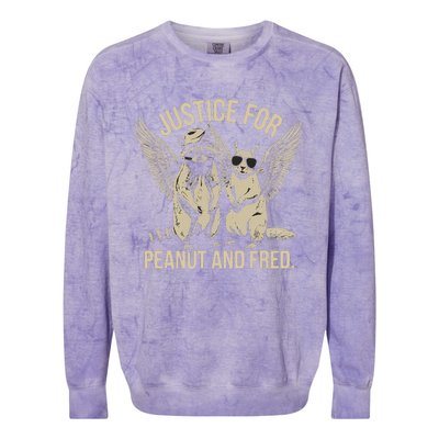 Justice For Peanut And Fred Peanut Squirrel Fred Raccoon Gift Colorblast Crewneck Sweatshirt