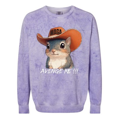 Justice For Peanut The Squirrel Wanted Colorblast Crewneck Sweatshirt