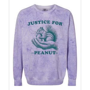 Justice For Peanut The Squirrel Peanut Squirrel Colorblast Crewneck Sweatshirt