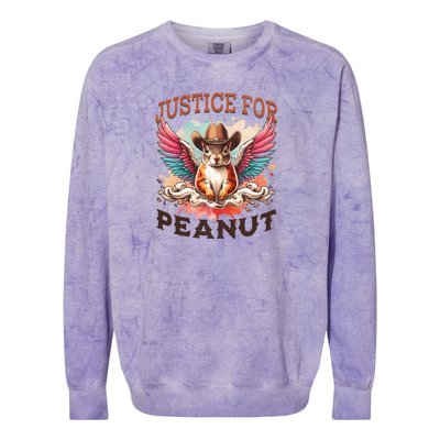 Justice For Peanut The Squirrel Peanut Squirrel Colorblast Crewneck Sweatshirt