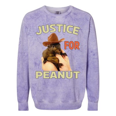 Justice For Peanut The Squirrel Colorblast Crewneck Sweatshirt