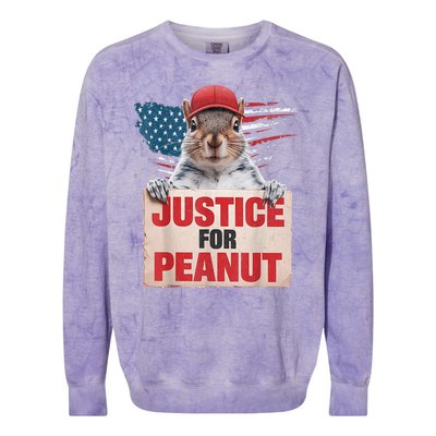 Justice For Peanut The Squirrel American Flag Peanut Squirrel Gift Colorblast Crewneck Sweatshirt