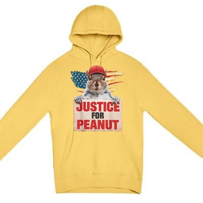 Justice For Peanut The Squirrel American Flag Peanut Squirrel Gift Premium Pullover Hoodie