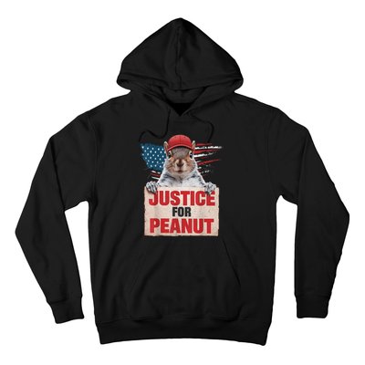 Justice For Peanut The Squirrel American Flag Peanut Squirrel Gift Hoodie