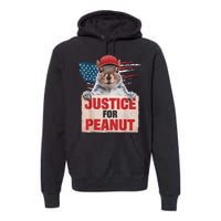 Justice For Peanut The Squirrel American Flag Peanut Squirrel Gift Premium Hoodie