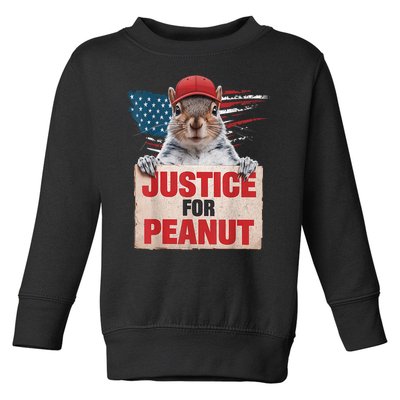 Justice For Peanut The Squirrel American Flag Peanut Squirrel Gift Toddler Sweatshirt