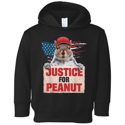 Justice For Peanut The Squirrel American Flag Peanut Squirrel Gift Toddler Hoodie