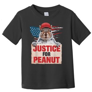 Justice For Peanut The Squirrel American Flag Peanut Squirrel Gift Toddler T-Shirt