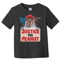 Justice For Peanut The Squirrel American Flag Peanut Squirrel Gift Toddler T-Shirt