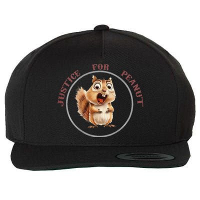 Justice For Peanut Design For Peanut Squirrel Wool Snapback Cap