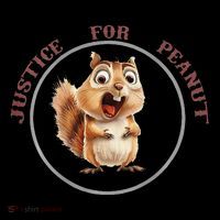 Justice For Peanut Design For Peanut Squirrel Wool Snapback Cap