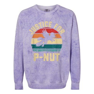 Justice For Peanut P’Nut Pnut Squirrel Lover Colorblast Crewneck Sweatshirt