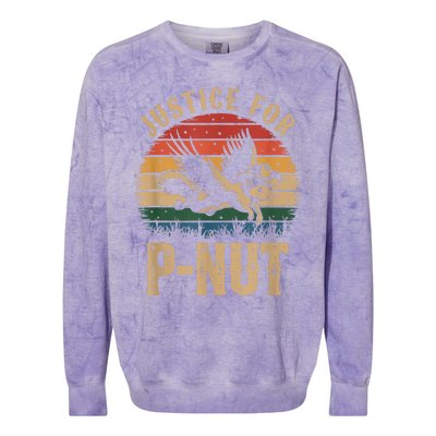 Justice For Peanut P’Nut Pnut Squirrel Lover Colorblast Crewneck Sweatshirt