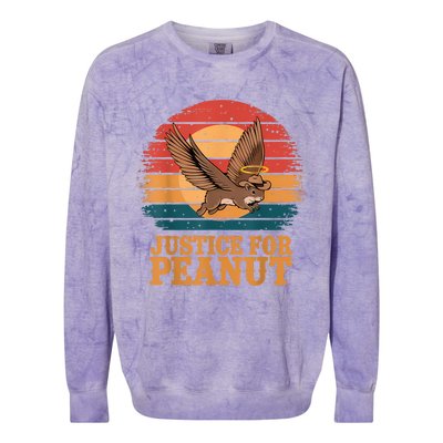 Justice For Peanut The Squirrel Peanut Squirrel Retro Colorblast Crewneck Sweatshirt