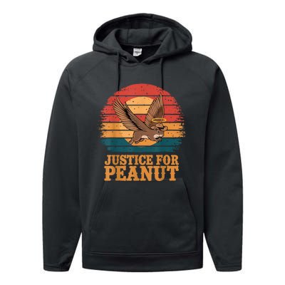 Justice For Peanut The Squirrel Peanut Squirrel Retro Performance Fleece Hoodie