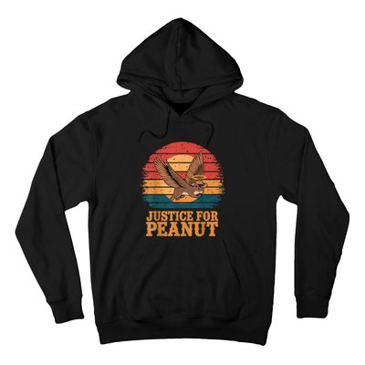 Justice For Peanut The Squirrel Peanut Squirrel Retro Hoodie