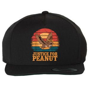 Justice For Peanut The Squirrel Peanut Squirrel Retro Wool Snapback Cap