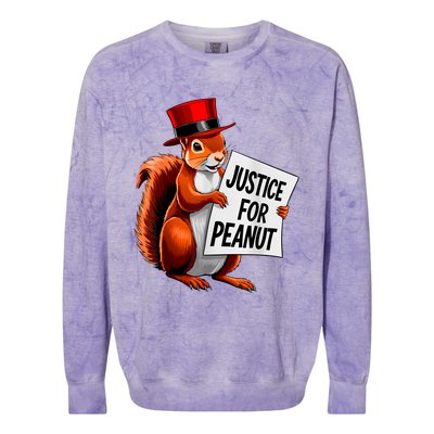 Justice For Peanut The Squirrel Peanut Squirrel Colorblast Crewneck Sweatshirt