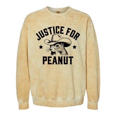 Justice For Peanut The Squirrel Peanut Squirrel Colorblast Crewneck Sweatshirt