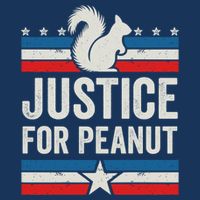 Justice For Peanut The Squirrel The Squirrel Pnut 7-Panel Snapback Hat