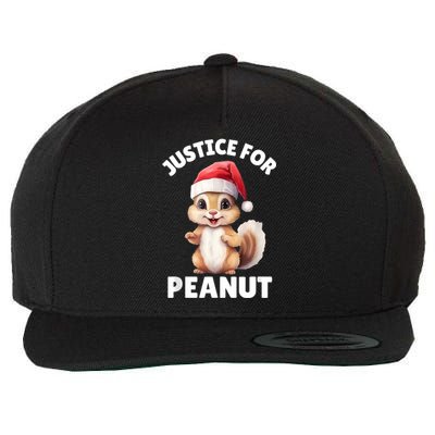 Justice For Peanut The Squirrel Funny Wool Snapback Cap