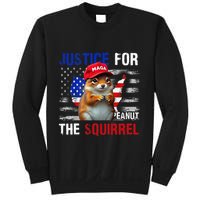 Justice For Peanut The Squirrel Peanut Squirrel Sweatshirt