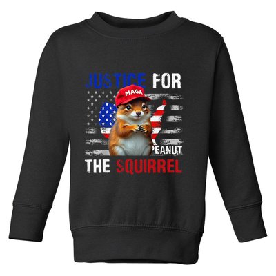 Justice For Peanut The Squirrel Peanut Squirrel Toddler Sweatshirt